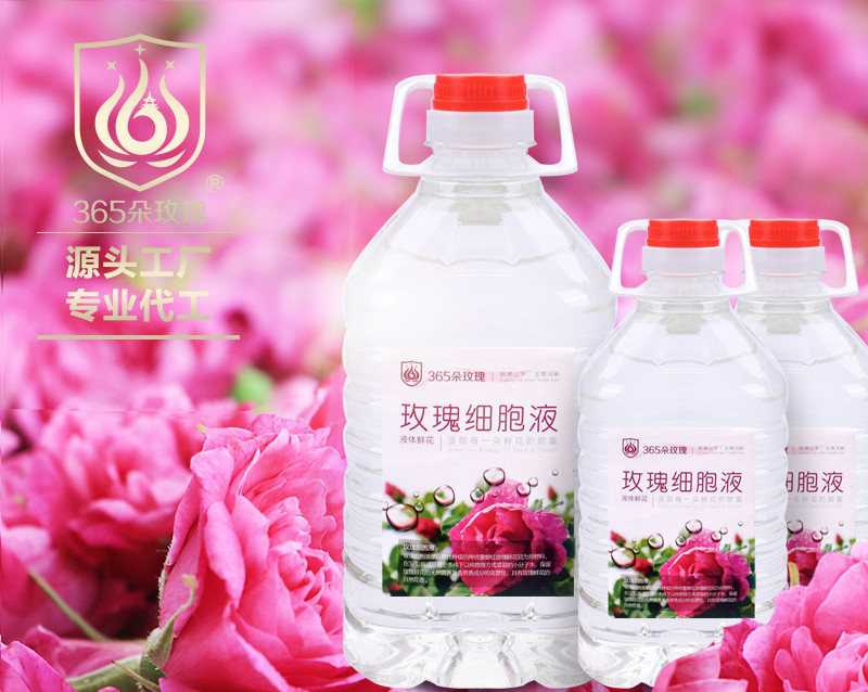 细胞液_副本.jpg